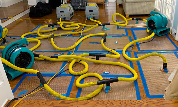 Professional Burst Pipe Water Damage technician working in Sterling, KS